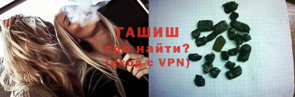 хмурый Белокуриха