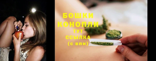 гидра Белоозёрский