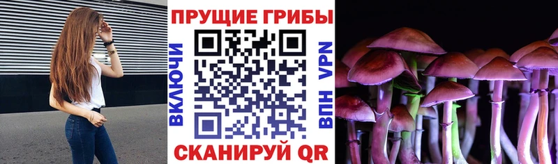 как найти закладки  Зарайск  МЕГА tor  Псилоцибиновые грибы Cubensis 