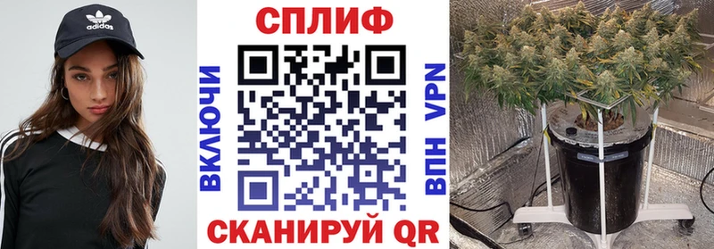 Бошки марихуана MAZAR  наркотики  Зарайск 
